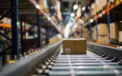 Supply Chain Transparency and Traceability in Order Fulfilment